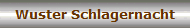 Wuster Schlagernacht